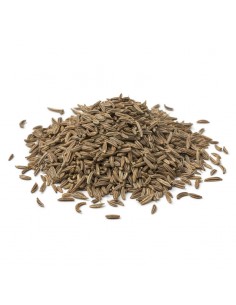 semillas de alcaravea