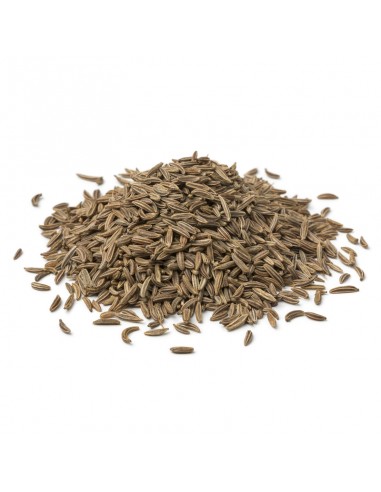 semillas de alcaravea