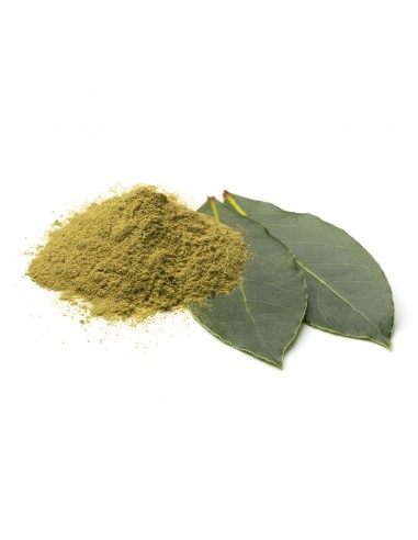 Laurel en polvo