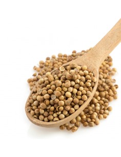 Cilantro en grano, culantro