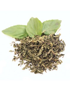 Menta seca