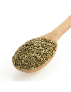 Ajenjo en hojas - Todoespecias.com