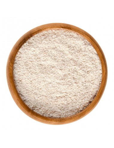 goma guar en polvo