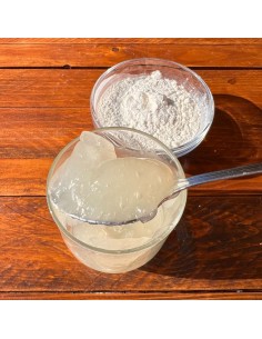 goma guar en polvo 2