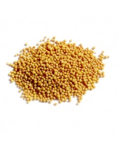 Mostaza amarilla, semillas