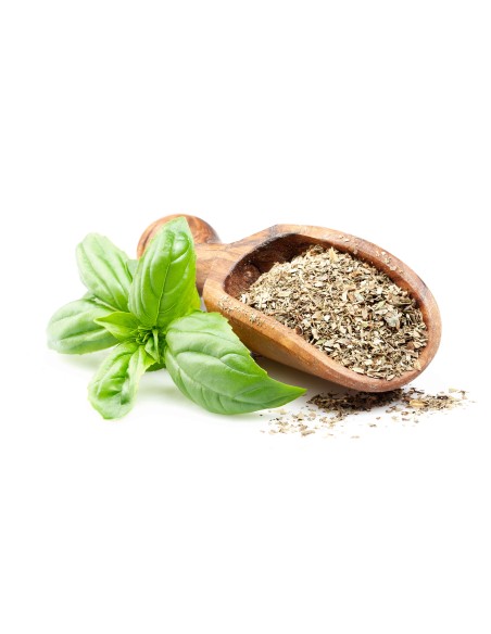 Albahaca - Envíos GRATIS desde 0€