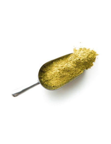 puerro en polvo