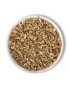 Fenchel, Samen - KOSTENLOSER Versand ab 0€
