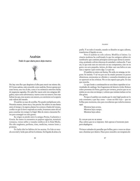 El Alma de las Especias - TodoEspecias